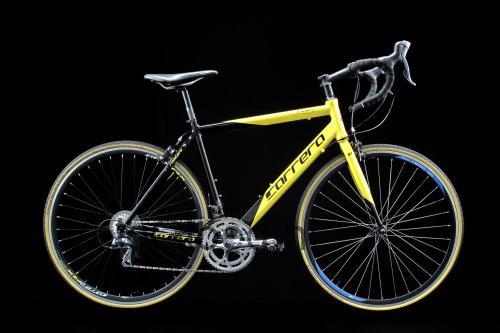 Carrera TDF LTD specificaties 